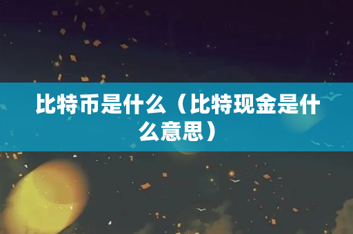 比特币是什么（比特现金是什么意思）