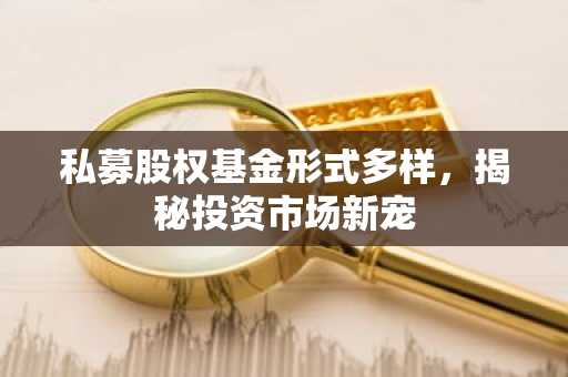 私募股权基金形式多样，揭秘投资市场新宠