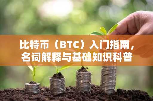 比特币（BTC）入门指南，名词解释与基础知识科普