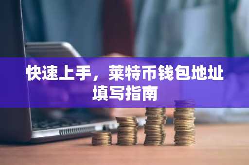 快速上手，莱特币钱包地址填写指南