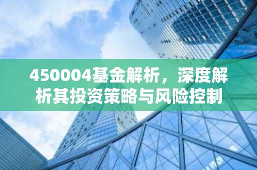 450004基金解析，深度解析其投资策略与风险控制
