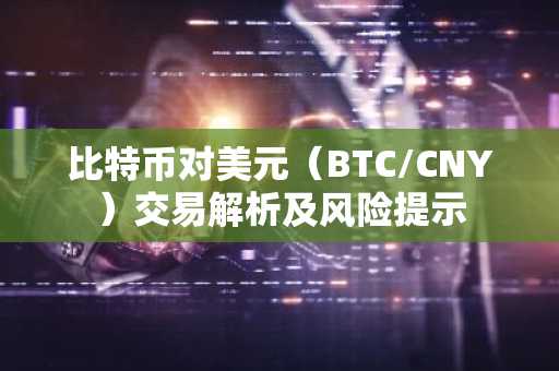 比特币对美元（BTC/CNY）交易解析及风险提示