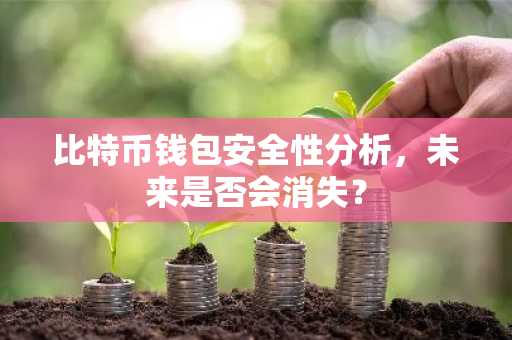 比特币钱包安全性分析，未来是否会消失？
