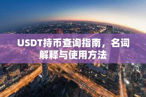 USDT持币查询指南，名词解释与使用方法