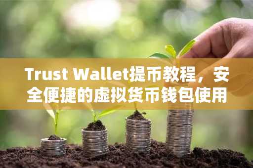 Trust Wallet提币教程，安全便捷的虚拟货币钱包使用指南