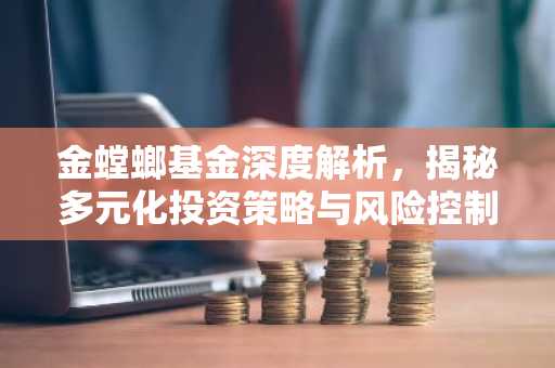 金螳螂基金深度解析，揭秘多元化投资策略与风险控制