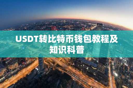 USDT转比特币钱包教程及知识科普