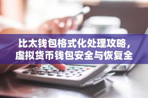 比太钱包格式化处理攻略，虚拟货币钱包安全与恢复全解析