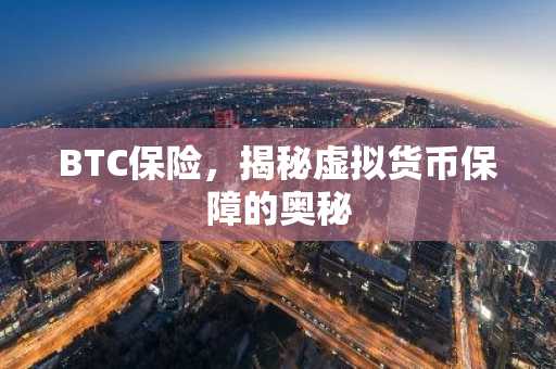BTC保险，揭秘虚拟货币保障的奥秘