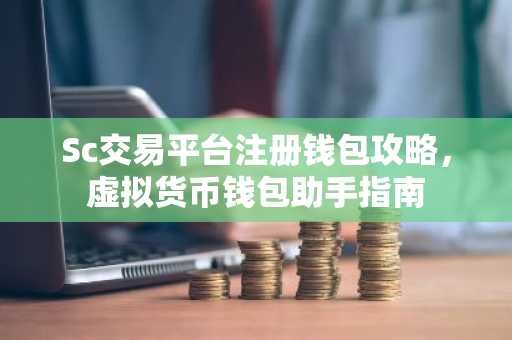 Sc交易平台注册钱包攻略，虚拟货币钱包助手指南