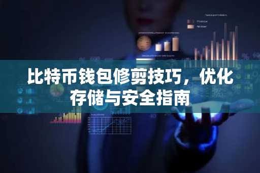 比特币钱包修剪技巧，优化存储与安全指南