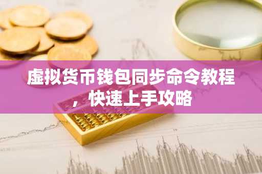 虚拟货币钱包同步命令教程，快速上手攻略