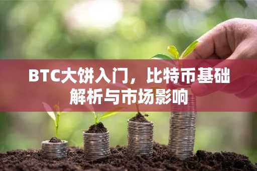 BTC大饼入门，比特币基础解析与市场影响