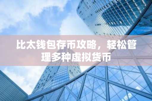 比太钱包存币攻略，轻松管理多种虚拟货币