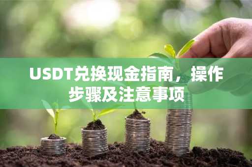 USDT兑换现金指南，操作步骤及注意事项