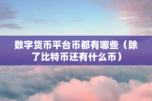 数字货币平台币都有哪些（除了比特币还有什么币）
