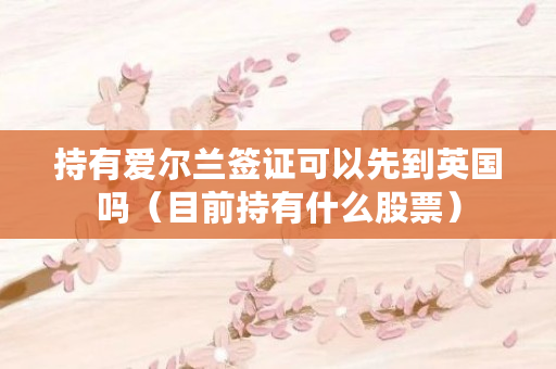持有爱尔兰签证可以先到英国吗（目前持有什么股票）