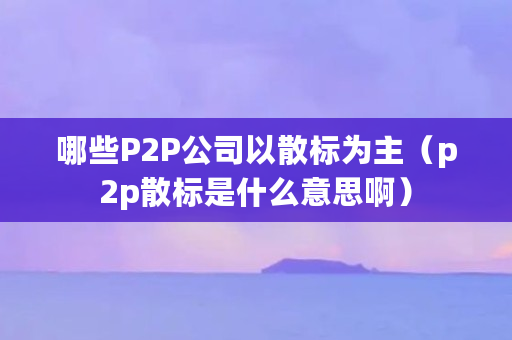 哪些P2P公司以散标为主（p2p散标是什么意思啊）