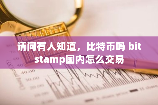 请问有人知道，比特币吗 bitstamp国内怎么交易