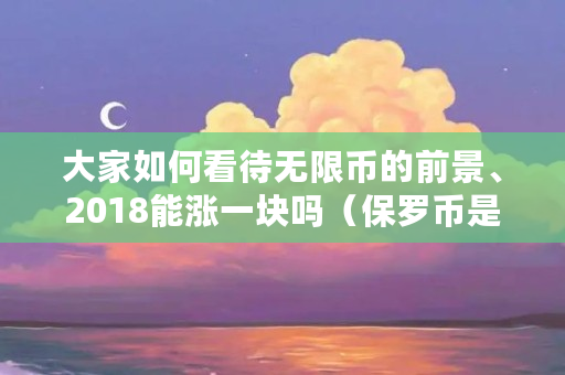 大家如何看待无限币的前景、2018能涨一块吗（保罗币是什么材质做的）