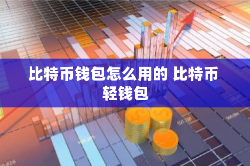 比特币钱包怎么用的 比特币 轻钱包