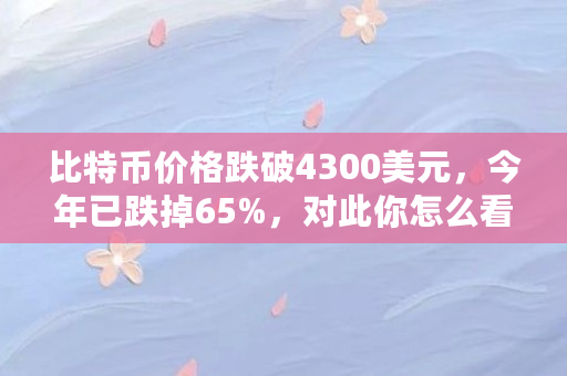 比特币价格跌破4300美元，今年已跌掉65%，对此你怎么看（比特币现在什么价格美元）