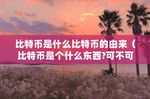 比特币是什么比特币的由来（比特币是个什么东西?可不可以投资?）