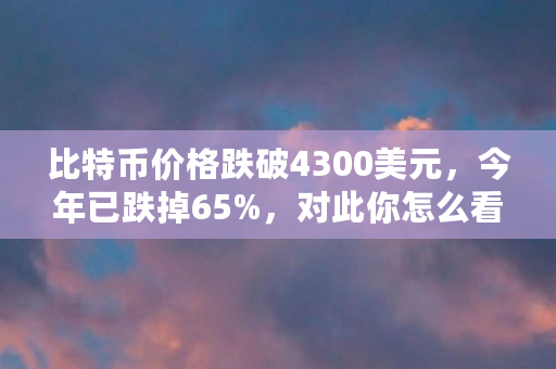 比特币价格跌破4300美元，今年已跌掉65%，对此你怎么看（比特币现在什么情况了）