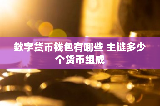 数字货币钱包有哪些 主链多少个货币组成