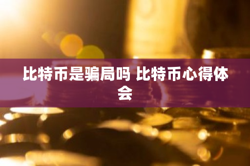 比特币是骗局吗 比特币心得体会