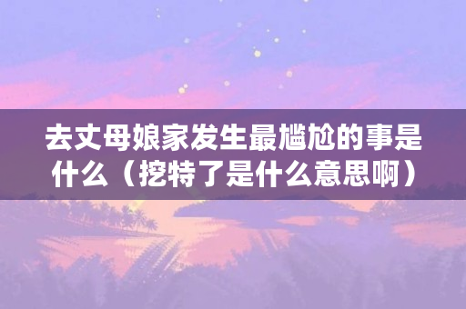 去丈母娘家发生最尴尬的事是什么(挖特了是什么意思啊) 去丈母娘家发生最尴尬的事是什么(挖特了是什么意思啊)