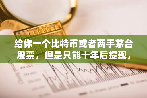 给你一个比特币或者两手茅台股票，但是只能十年后提现，你会选哪个 比特币稳吗