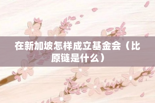 在新加坡怎样成立基金会（比原链是什么）