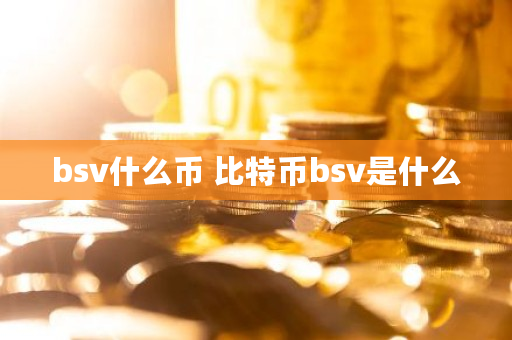 bsv什么币 比特币bsv是什么