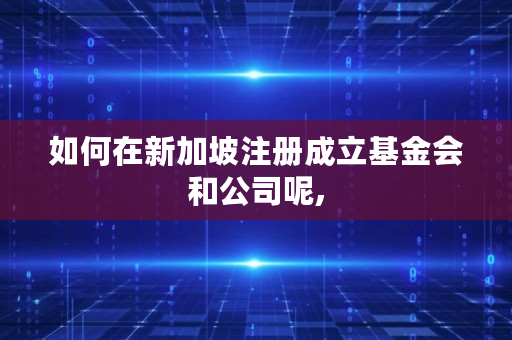 如何在新加坡注册成立基金会和公司呢,