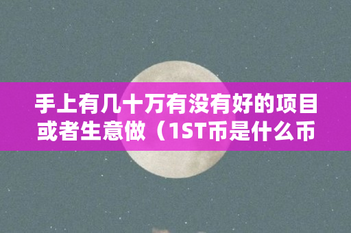 手上有几十万有没有好的项目或者生意做（1ST币是什么币）