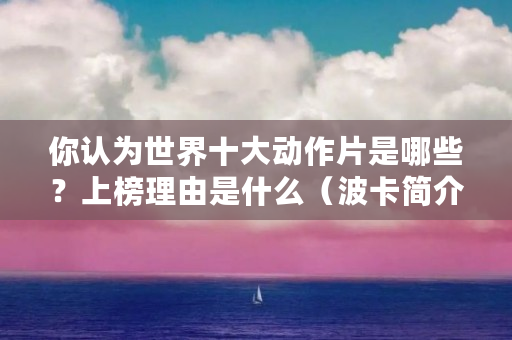 你认为世界十大动作片是哪些？上榜理由是什么（波卡简介）