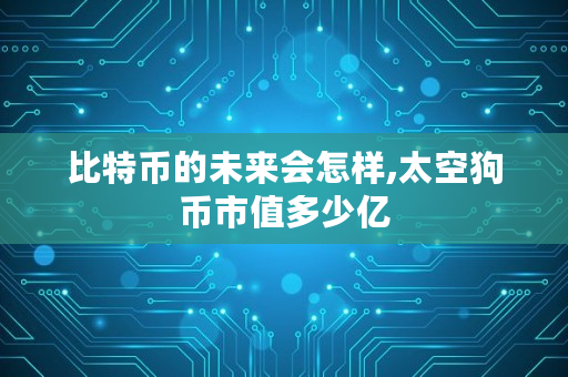比特币的未来会怎样,太空狗币市值多少亿