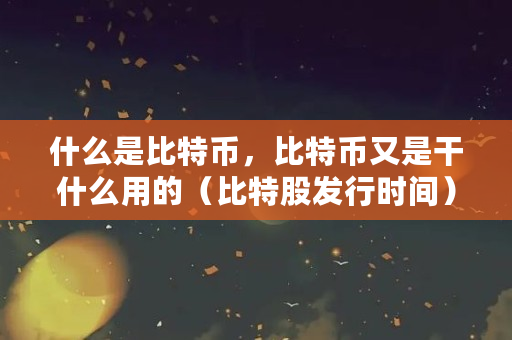 什么是比特币，比特币又是干什么用的（比特股发行时间）