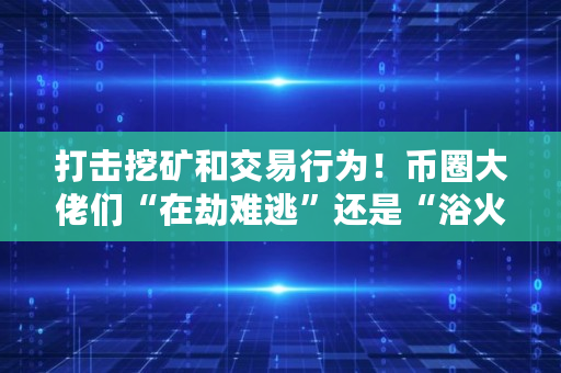 打击挖矿和交易行为！币圈大佬们“在劫难逃”还是“浴火重生”,柴犬币涨了28万倍