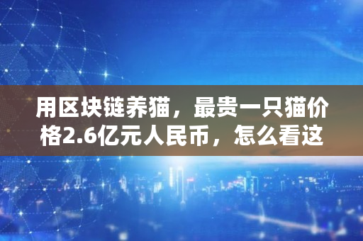 用区块链养猫，最贵一只猫价格2.6亿元人民币，怎么看这件事,区块链充值多少钱
