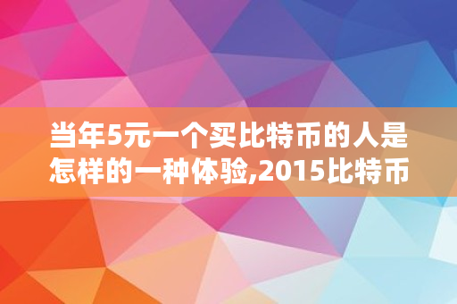 当年5元一个买比特币的人是怎样的一种体验,2015比特币多少钱一个