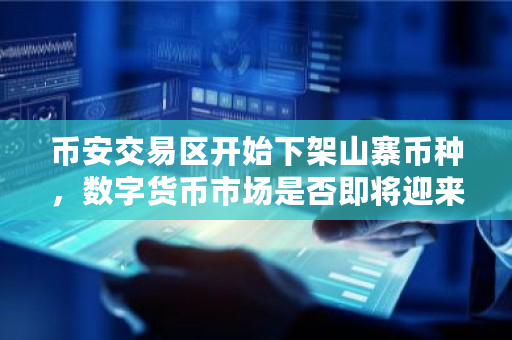 币安交易区开始下架山寨币种，数字货币市场是否即将迎来大洗牌？你怎么看 bcn币怎么样