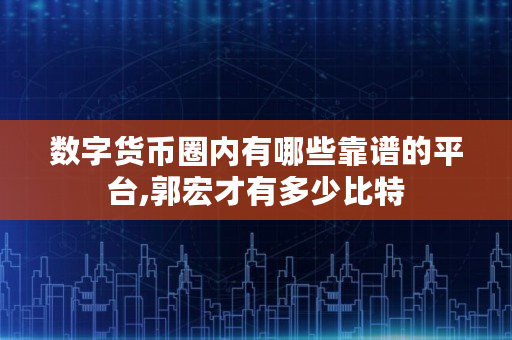 数字货币圈内有哪些靠谱的平台,郭宏才有多少比特