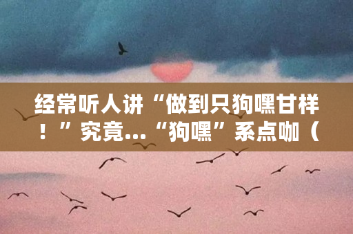 经常听人讲“做到只狗嘿甘样！”究竟…“狗嘿”系点咖（狗嗨是什么意思）