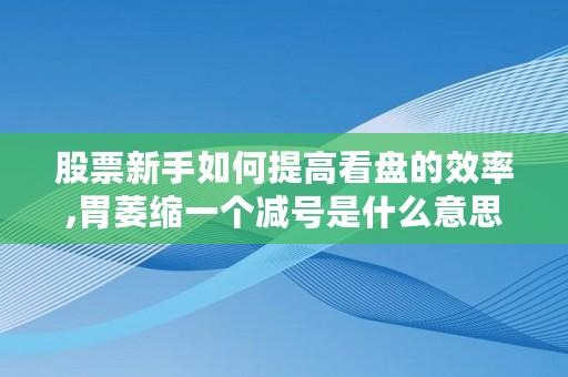 股票新手如何提高看盘的效率,胃萎缩一个减号是什么意思