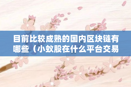 目前比较成熟的国内区块链有哪些（小蚁股在什么平台交易好）
