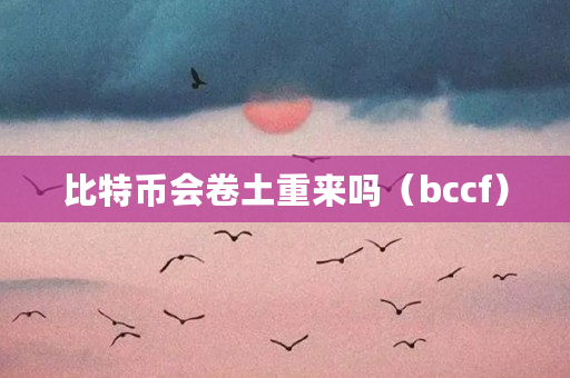 比特币会卷土重来吗（bccf）