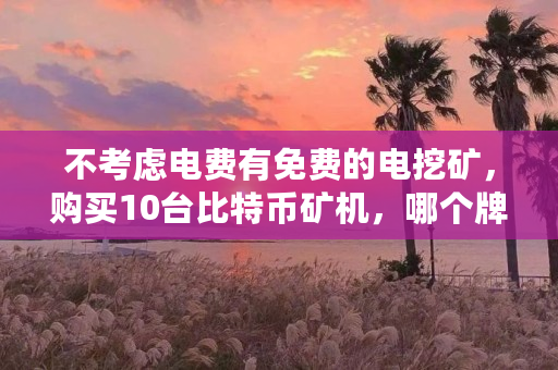 不考虑电费有免费的电挖矿，购买10台比特币矿机，哪个牌子性价比高回本快（什么比特币挖矿最多）