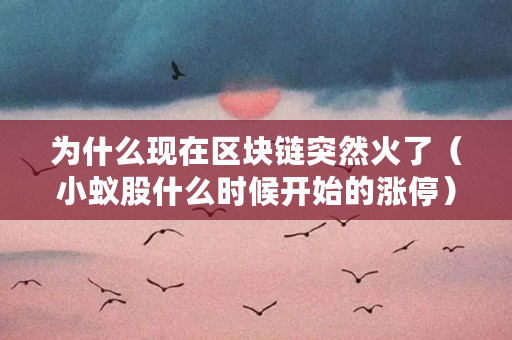 为什么现在区块链突然火了（小蚁股什么时候开始的涨停）
